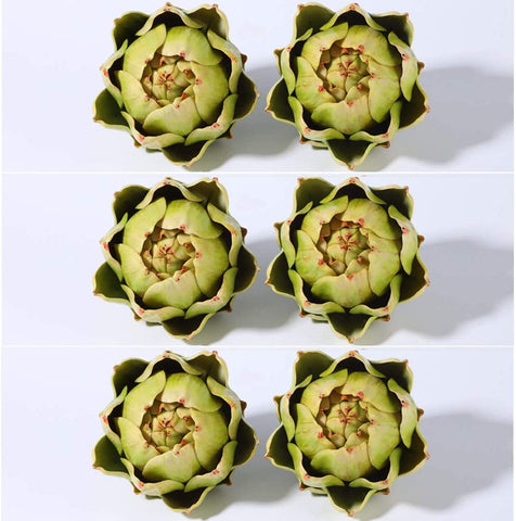 Sxowihz large green artichokes 6-pack in carton for home decor.