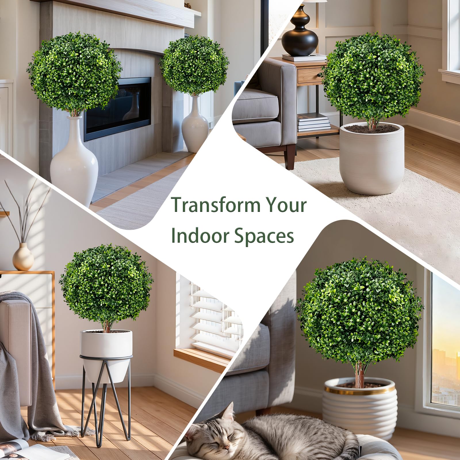 SylvanVerse boxwood ball set elevates entryways with balanced round shapes