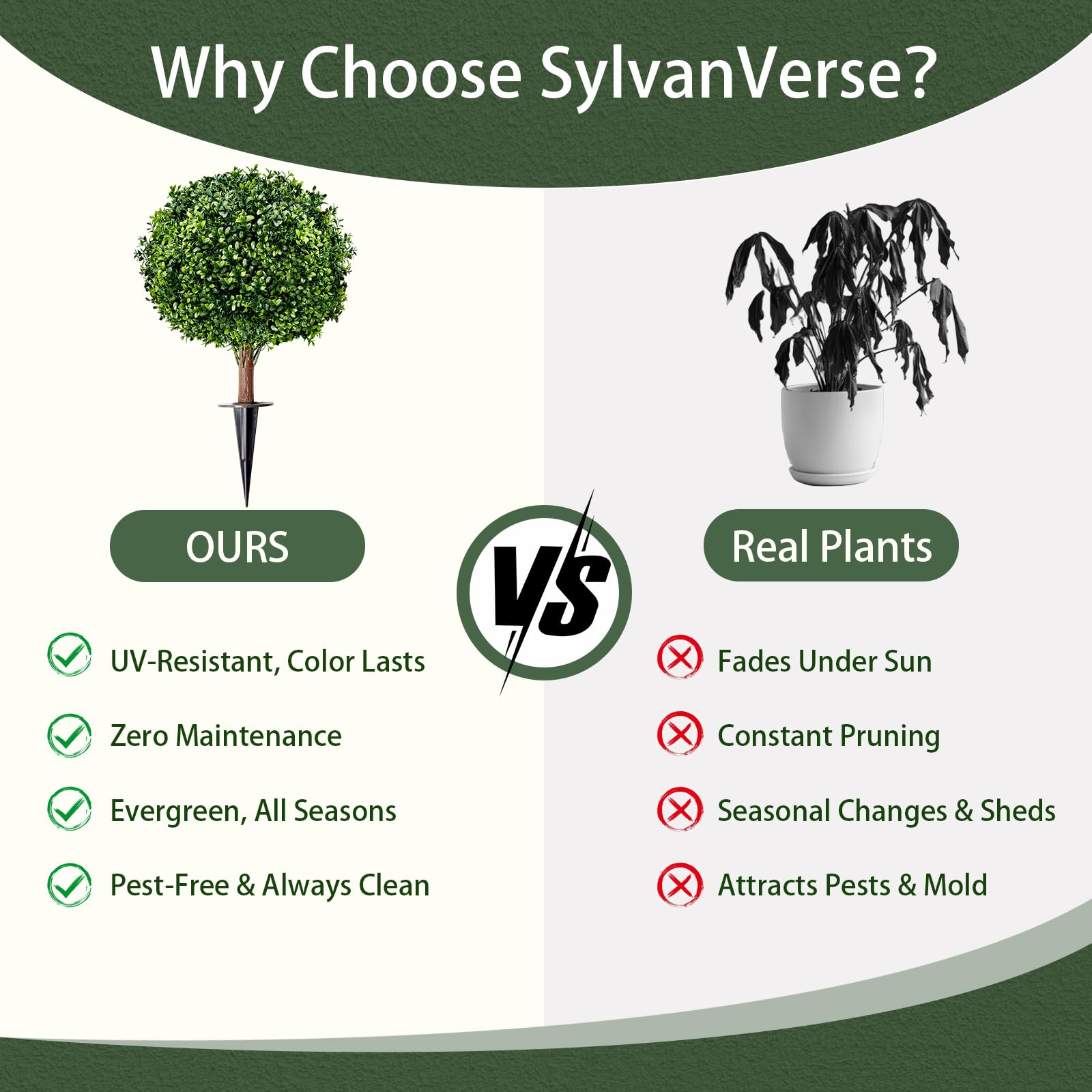 SylvanVerse artificial boxwood with ground spikes stays firmly in place
