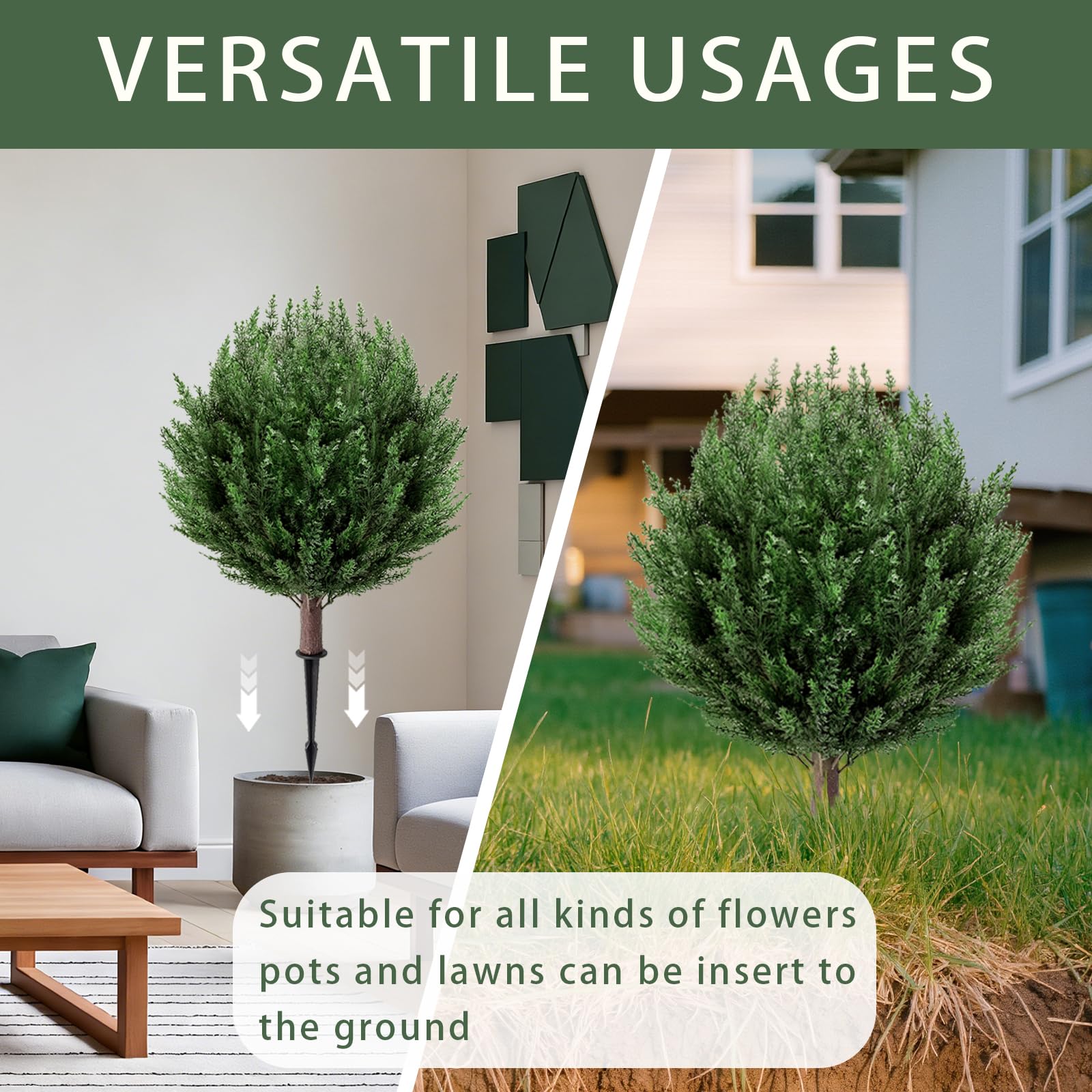 SylvanVerse cedar topiary pack 2ft versatile for planters and corners.