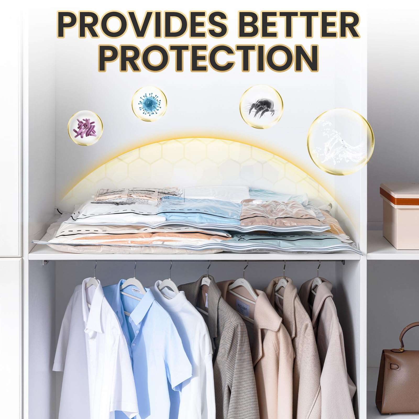 TAILI durable clear material designed for long-term storage