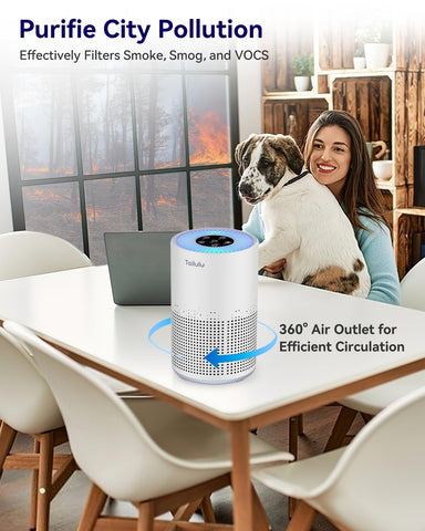 Tailulu AP050 360-degree air intake shown for full-room purification.