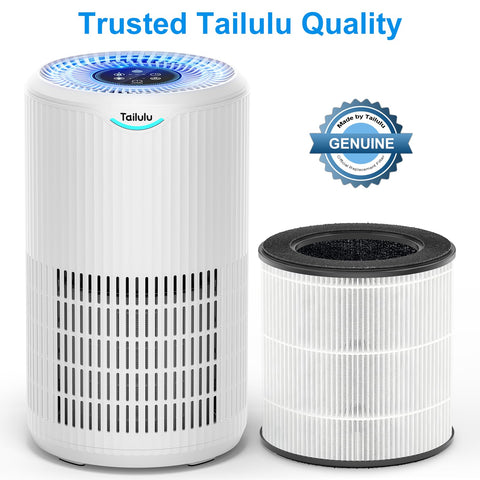 Tailulu D09 long-life filter for reliable performance in busy rooms