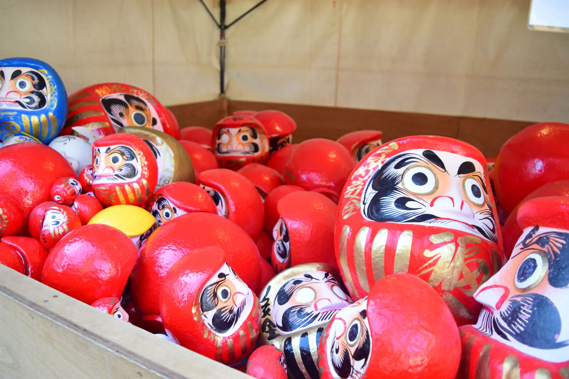 Display-ready Takasaki Daruma enhances cultural ambiance and goal-setting ambiance