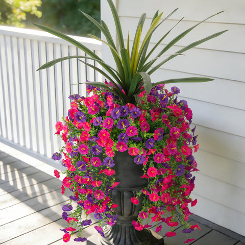 TakeArt morning glory bundles 25.6in add vibrant, maintenance-free color indoors or outdoors