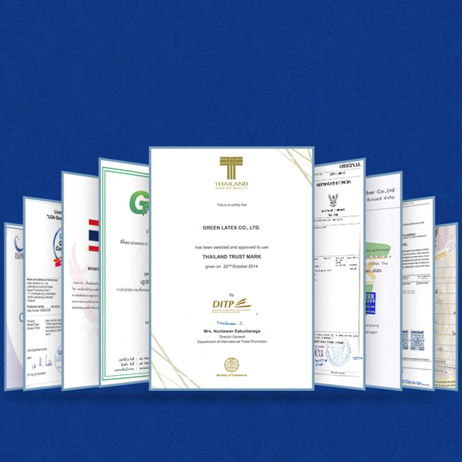 TalatexHome Talalay pillow packaging gift-ready presentation.