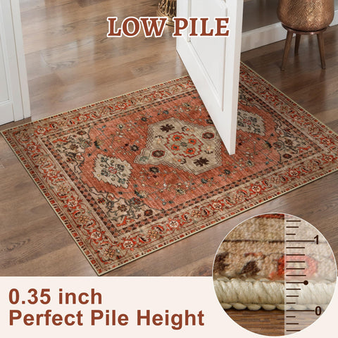 Tangsoo low-pile design fits under doors and furniture easily