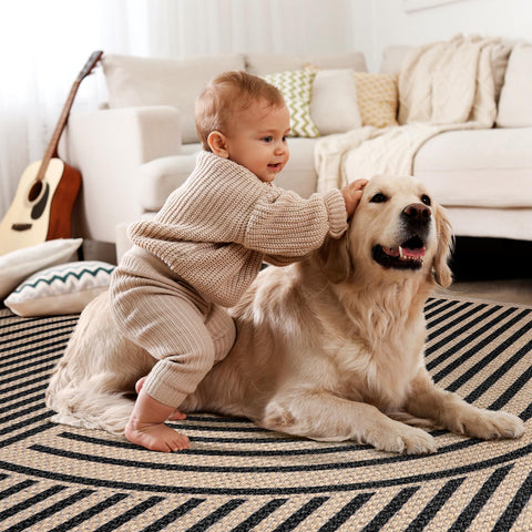 Tangsoo Rainbow Easy Jute Rug complements entryways, living rooms, and hallways.