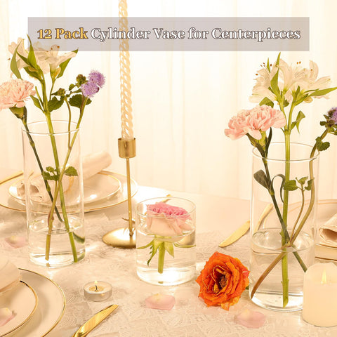 TBWIND 8-inch vase with smooth mouth edge enhances elegant floral arrangements