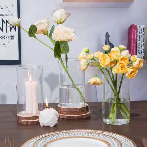 TBWIND vase with succulents and pebbles for versatile styling