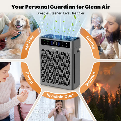 TDBYWAE purifier aroma function image ready for essential oils