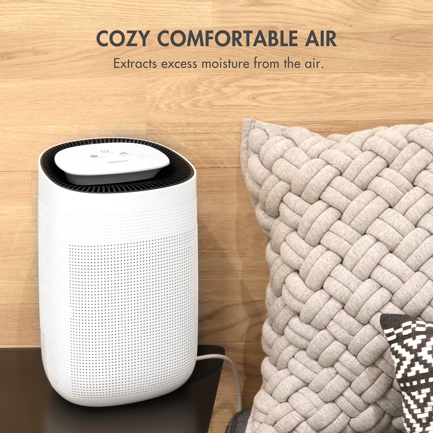 Tenergy Sorbi purifying function icon highlights integrated air cleaning.