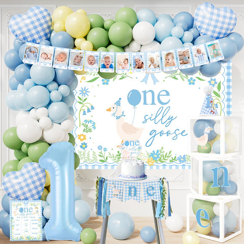 Tenshun One Silly Goose birthday backdrop for vibrant first birthday photos