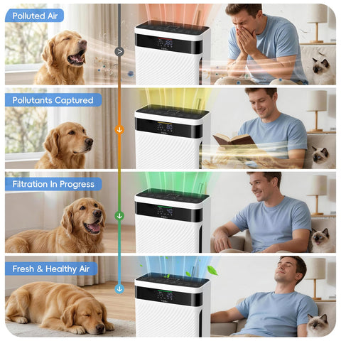 TER Air sleep-mode operates quietly for peaceful nights in bedrooms or living rooms.