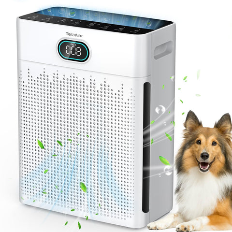 TeraAire air purifier front view highlighting large-room capability up to 2200 ft²