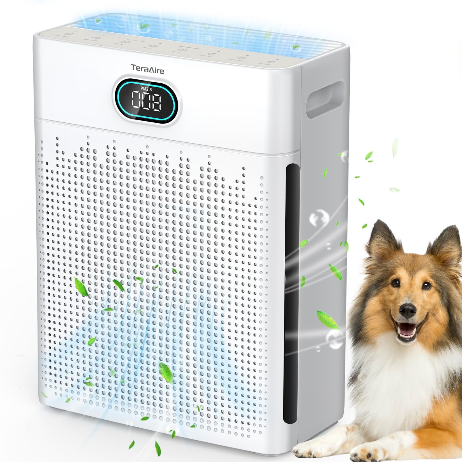 TeraAire air purifier in living room showing broad coverage and clean air circulation