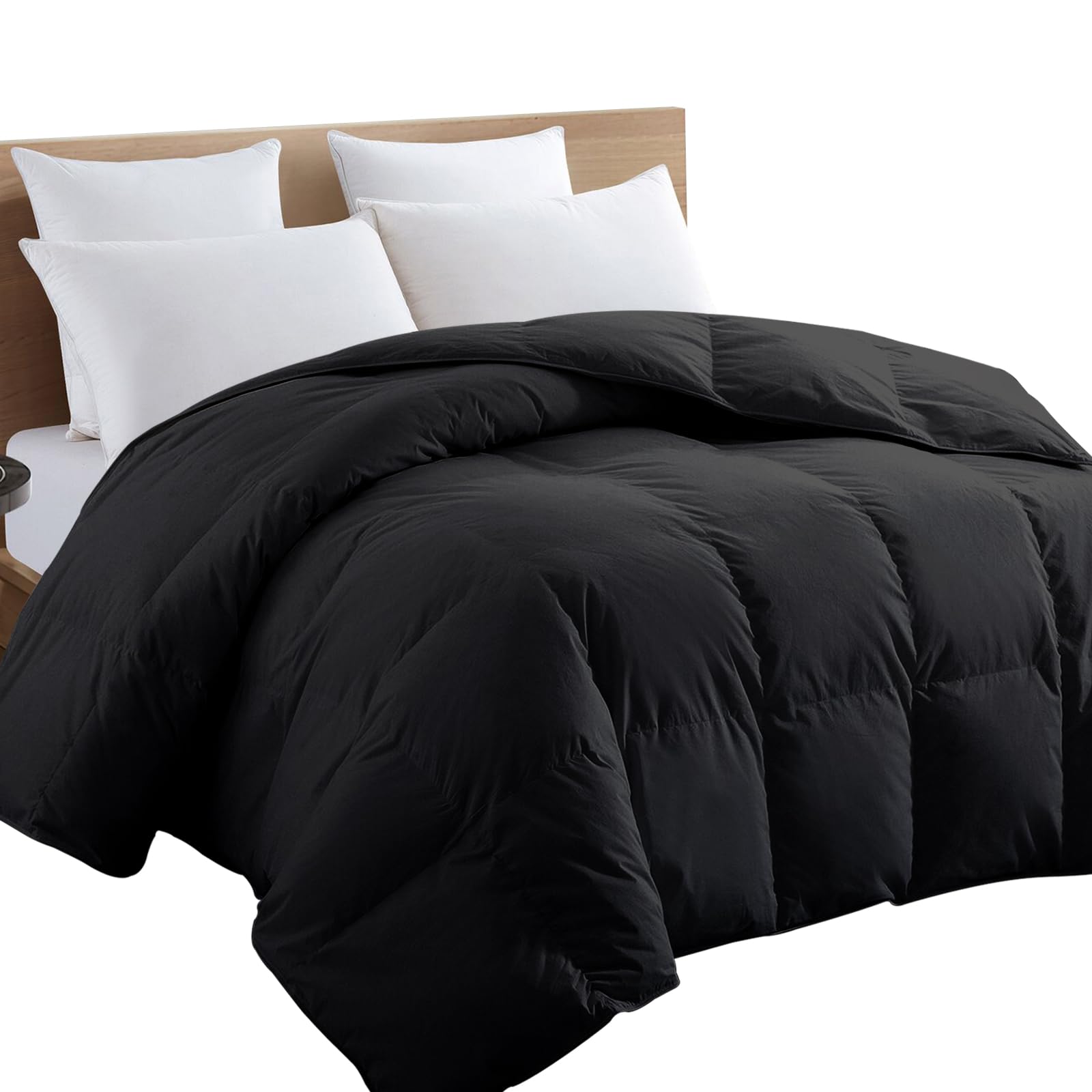 TEXARTIST Premium 2100 Series queen comforter available in multiple sizes for a perfect fit
