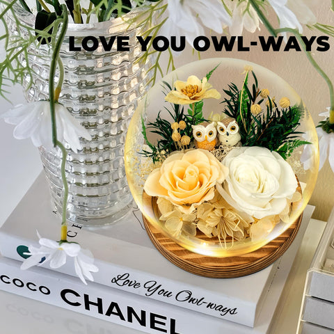 TGELATA classy display featuring owl motif to inspire warmth.