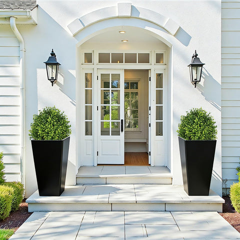 The Bloom Times 24-inch boxwood topiary, side view ideal for entryways.