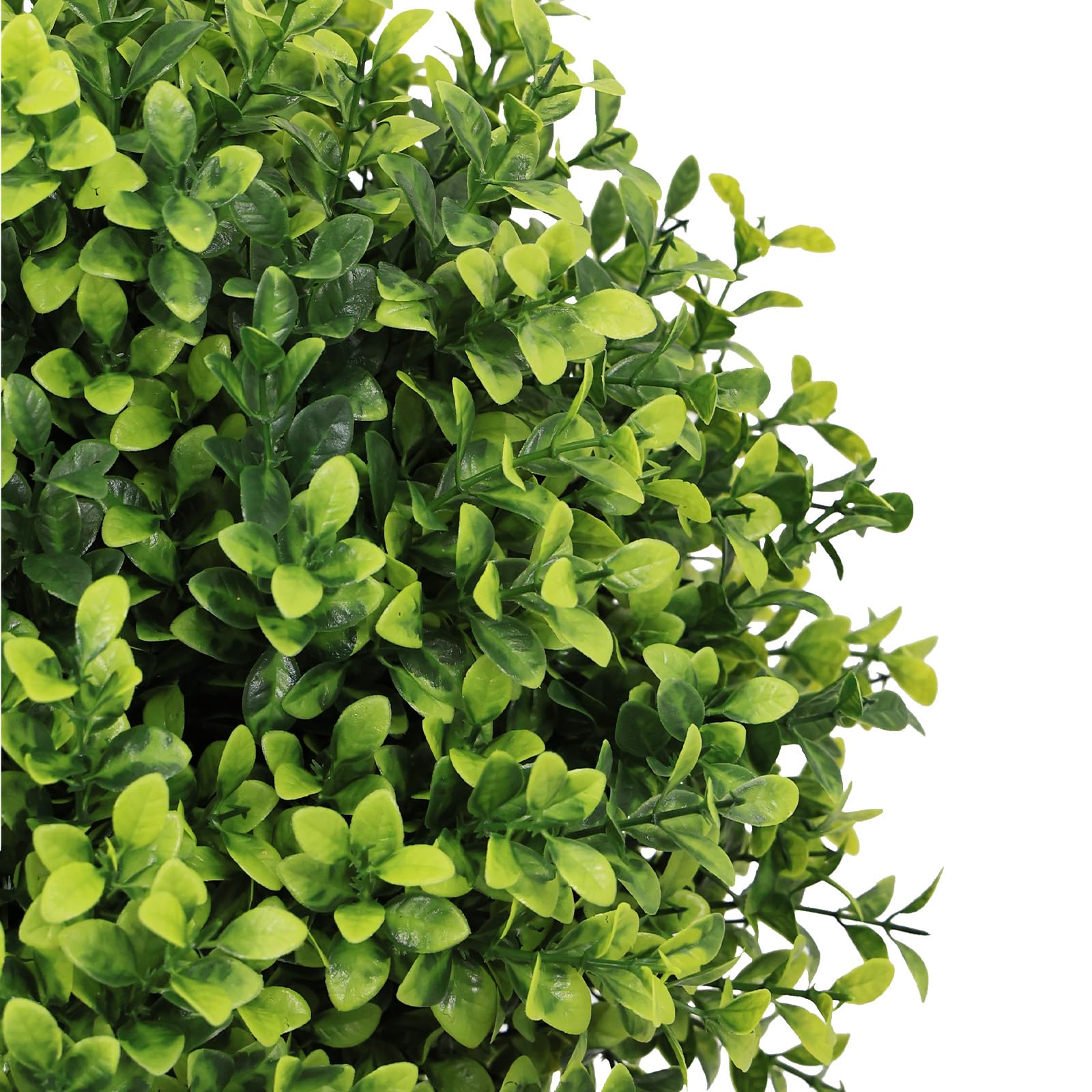 The Bloom Times boxwood topiary close-up shows realistic leaf texture.
