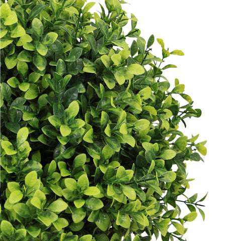 The Bloom Times boxwood topiary close-up shows realistic leaf texture.