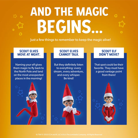 The Elf on the Shelf daily hiding spot sparks morning wonder.
