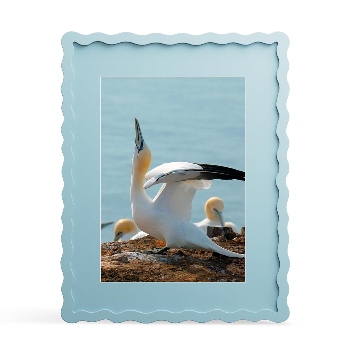 THKRLOF 11x14 blue frame with wavy edge and real glass protects memories.