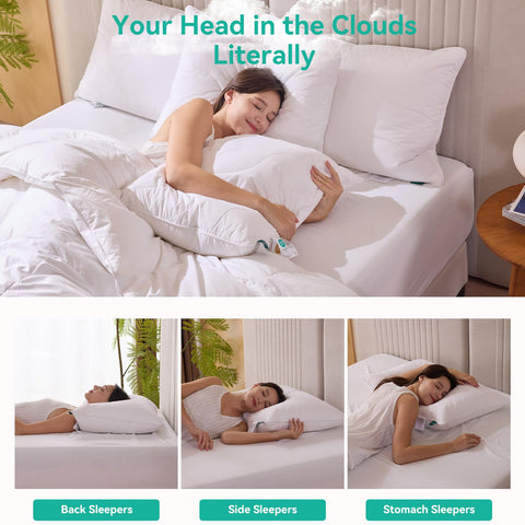 Three Geese pillow-100-percent-cotton-cover highlights breathable fabric for cool nights.