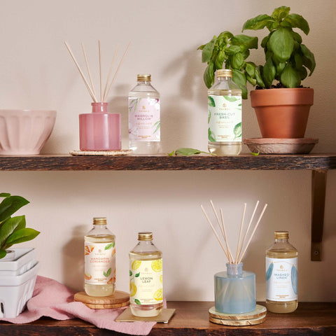 Thymes diffuser vase with reeds set up for flameless diffusion.