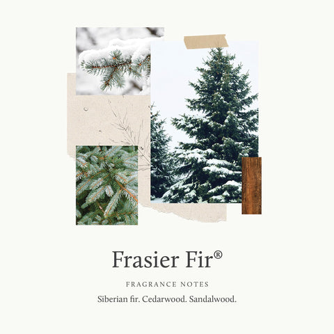 Thymes Frasier Fir wick close-up highlighting clean burn.