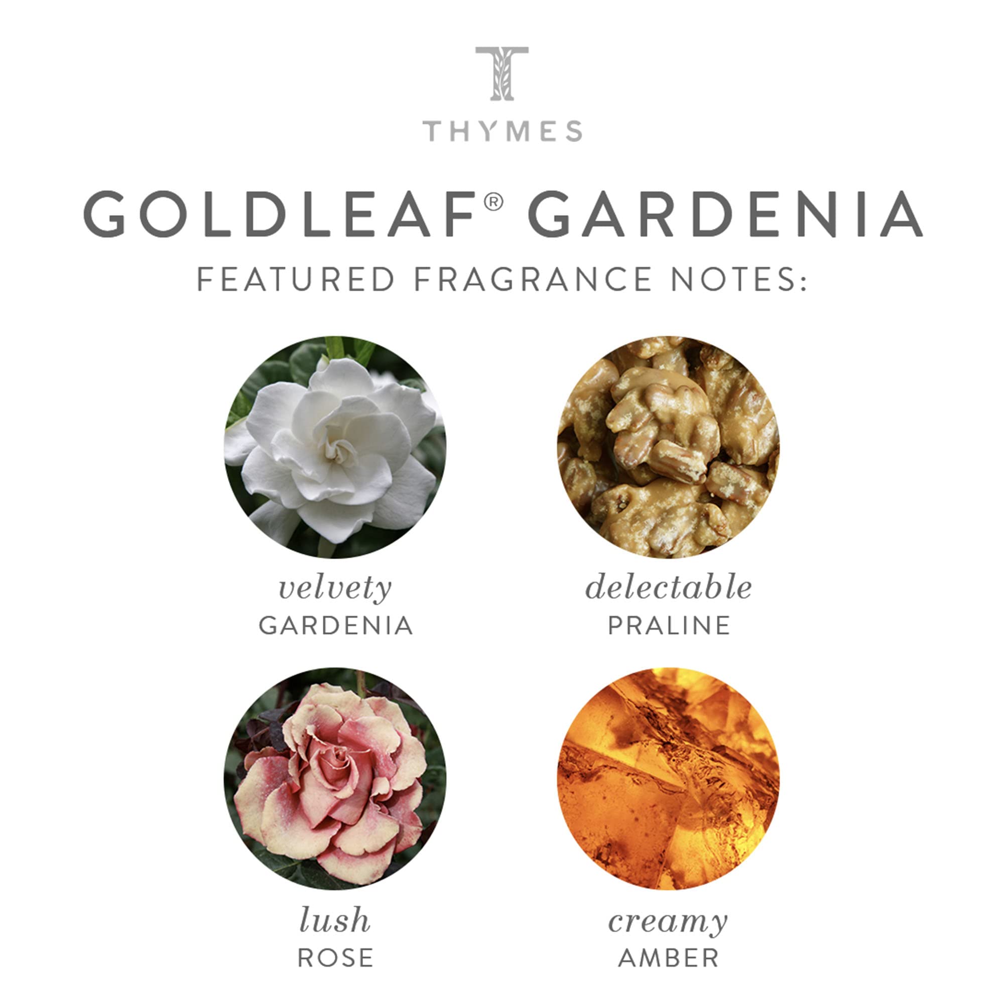 Thymes Goldleaf Gardenia packaging highlights premium design on a shelf