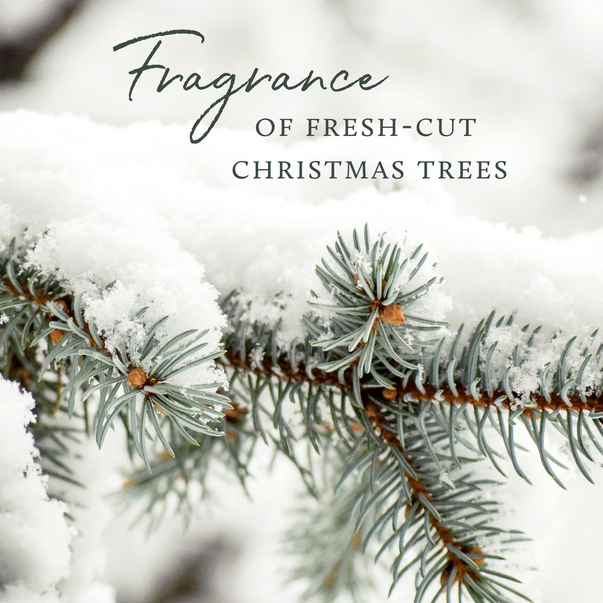 Thymes long-lasting fragrance oil maintains steady scent.