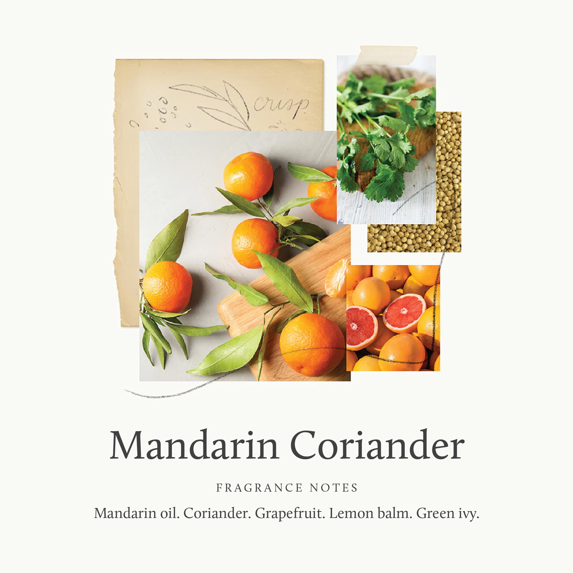 Thymes Mandarin Coriander mist spray-dispense demonstrates quick air refresh.