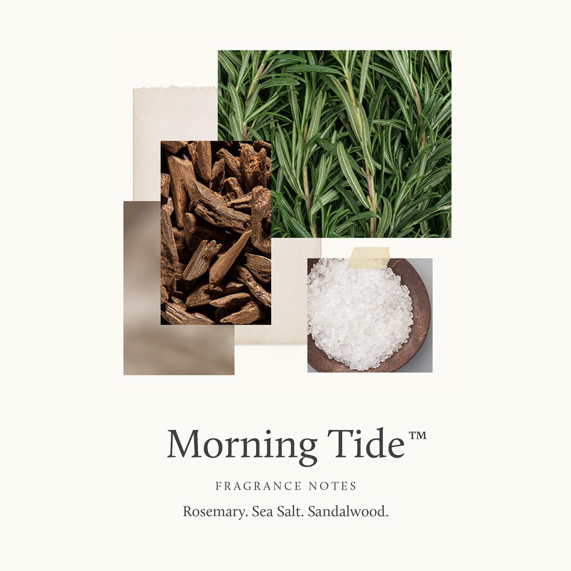 Thymes Morning Tide rosemary sea salt close up highlights scent profile
