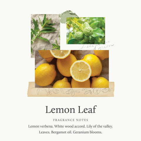 Thymes Pura Bergamot-Lily refill: vibrant citrus and floral balance