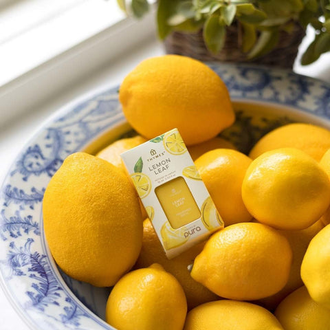 Thymes Pura Dewy Leaves refill: fresh, green aroma for calm mornings
