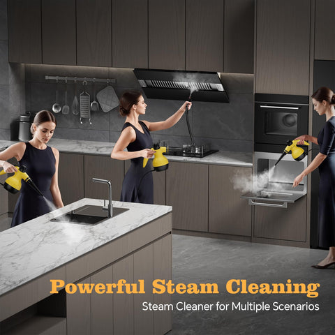 TICYACK multi-surface steam cleaner suits home and car tasks.