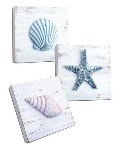 Tide and Tales 3D seashell wall art set featuring textured shells for coastal living rooms