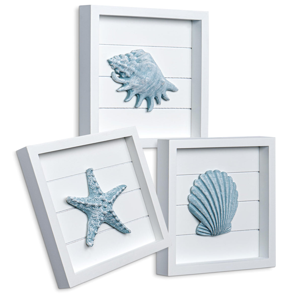 Tide and Tales blue seashells starfish 3D wall art adds coastal charm to any room.