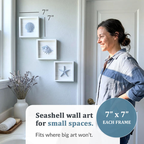 Tide and Tales framed 7x7 seashell trio brightens bathrooms with weathered nautical vibes.
