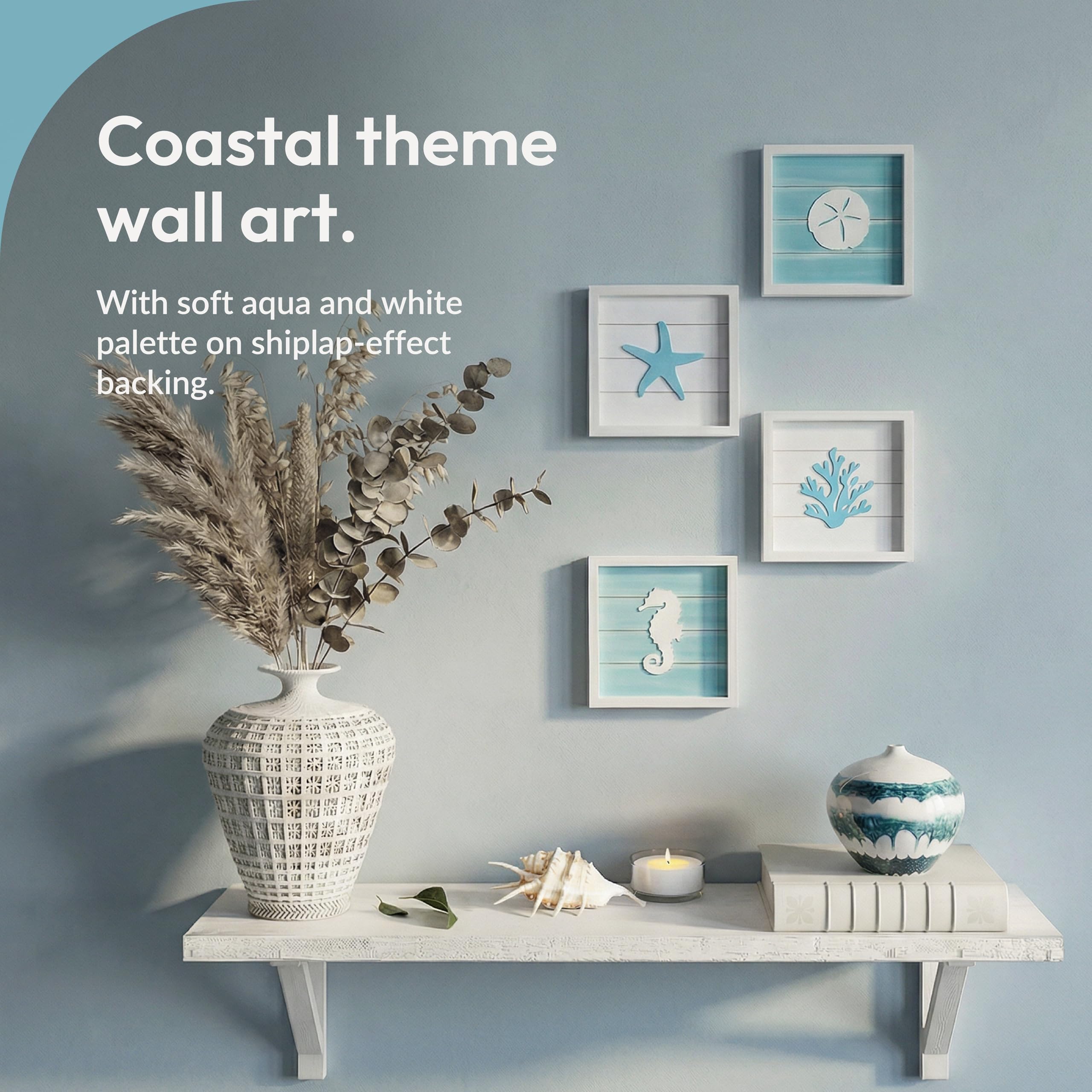 Tide and Tales Sand dollar 3D wall art brings breezy seaside vibes to hallways