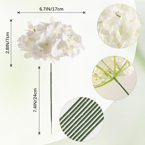 Tifuly closeup hydrangea petals show natural texture