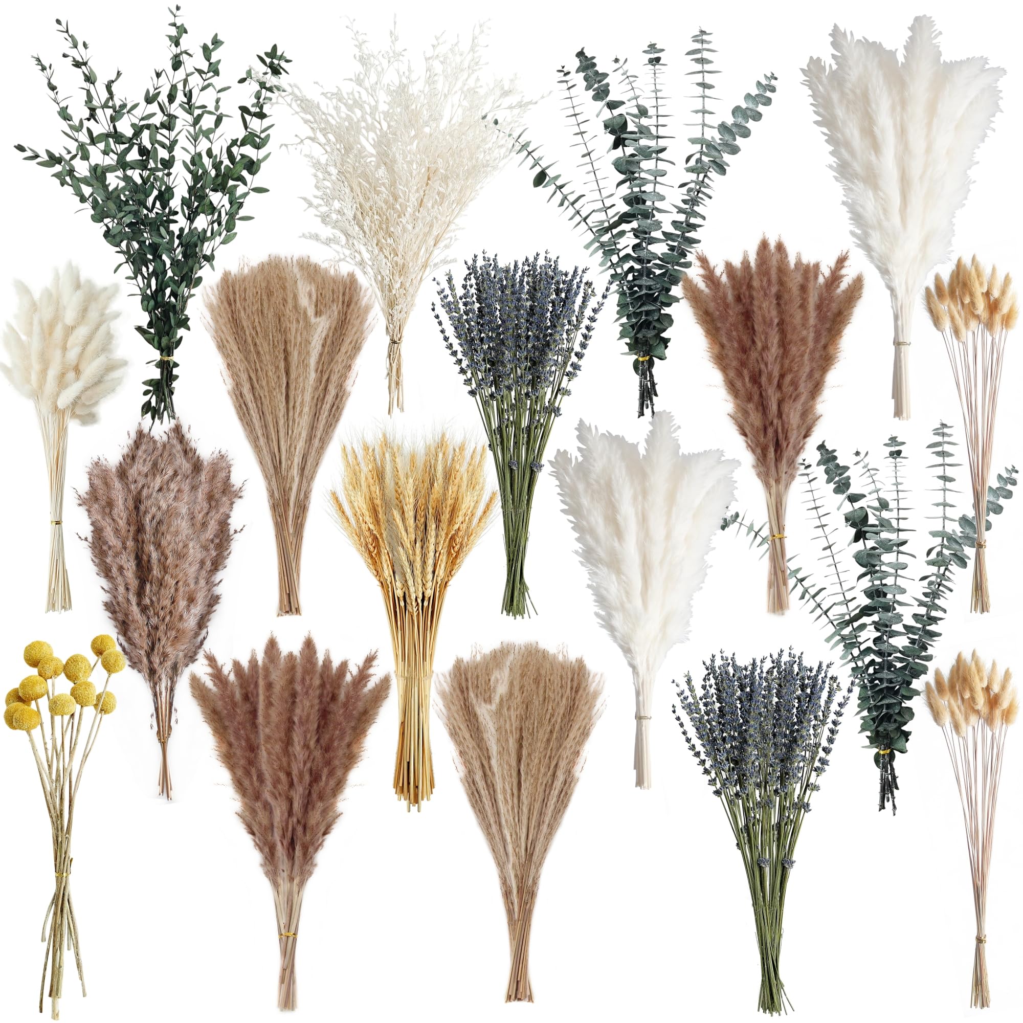 Tikaray dried pampas bouquet with white and brown tones for modern boho decor.