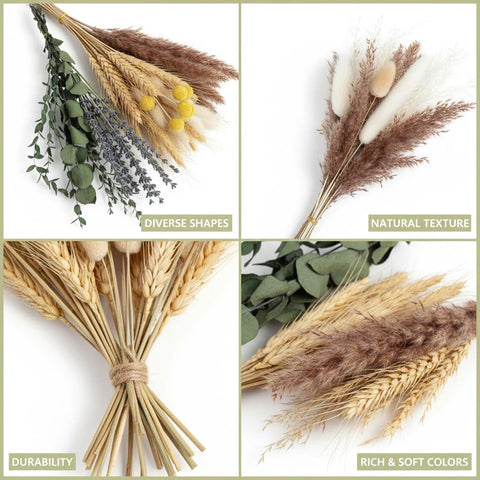 Tikaray gold-wheat tones bring warmth to rustic or modern spaces.