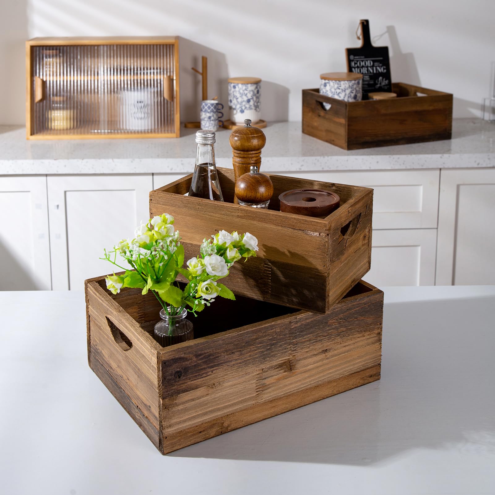 TIMRIS crates in living room setup demonstrating decorative storage and plant display