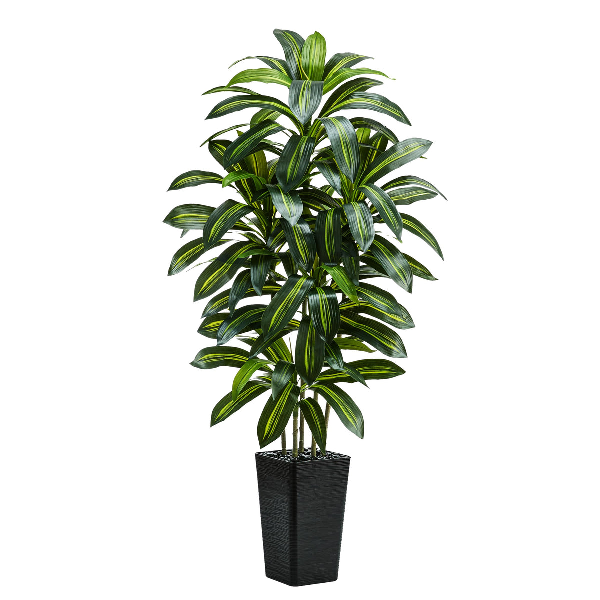 TNGGNT six-foot dracaena tree adds a lush living room focal point