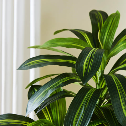 TNGGNT six-foot tree enhances home or office decor