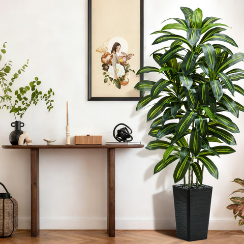 TNGGNT dracaena with natural trunk enhances indoor realism