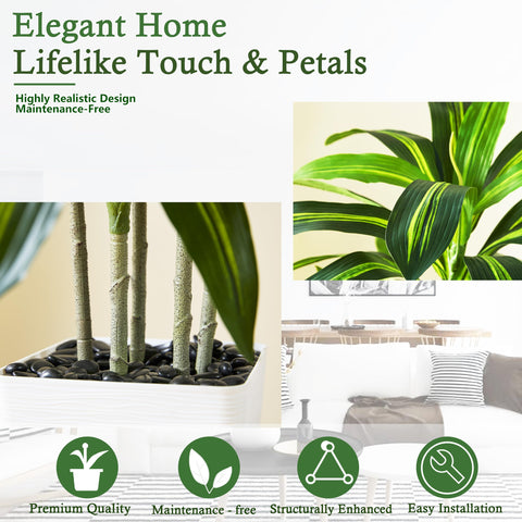 TNGGNT dracaena silhouette suits contemporary, tropical, and minimalist spaces.