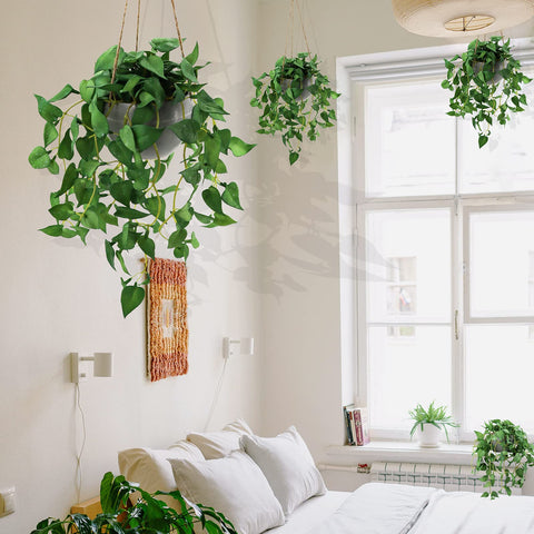 TNNTOPELE green vitality design adds fresh feel to any room.